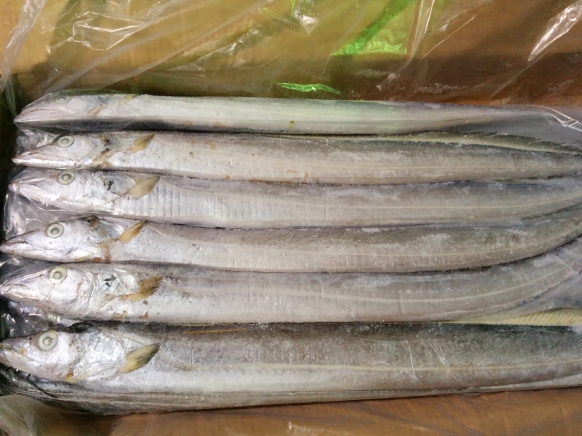 Ribbon Fish Fish